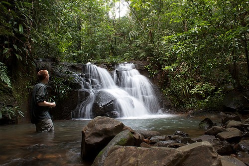 Corcovado National Park: The World’s Most Biologically Diverse Rainforest