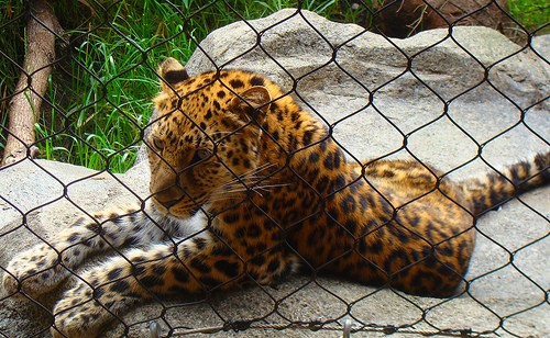 Famous Zoos In Minnesota To Visit