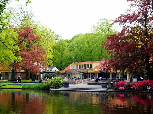 Be Amazed With Kuekenhof Park’s Exceptional Beauty