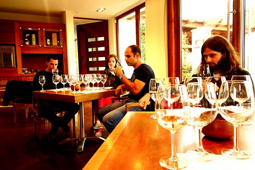 How To Wine Taste Like A Boss At Casablanca Valley in Chile