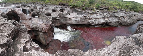 Why You Should Be Amazed By Cano Cristales, Colombia’s Colorful River?